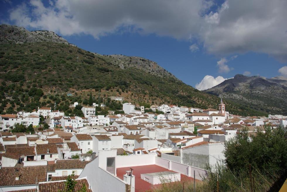 Casa Del Secretario Villa Cortes de la Frontera Kültér fotó